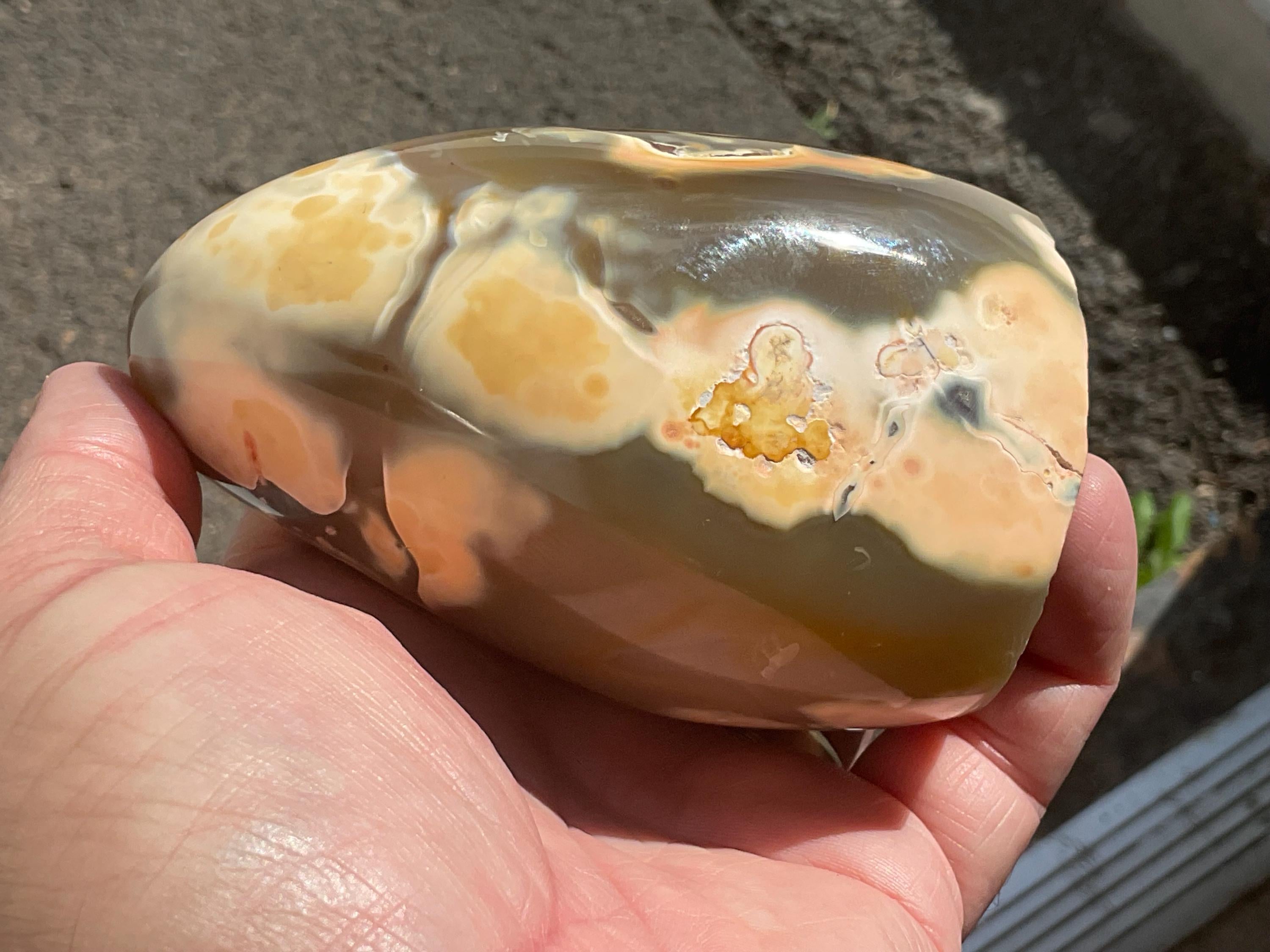 606g Orca Agate Freeform B
