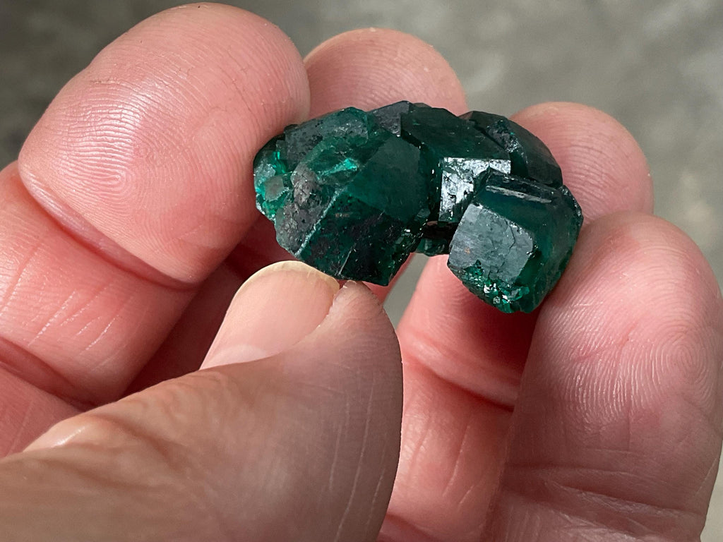 RESERVED FOR ASHRA** 10g Congolese Dioptase Specimen C
