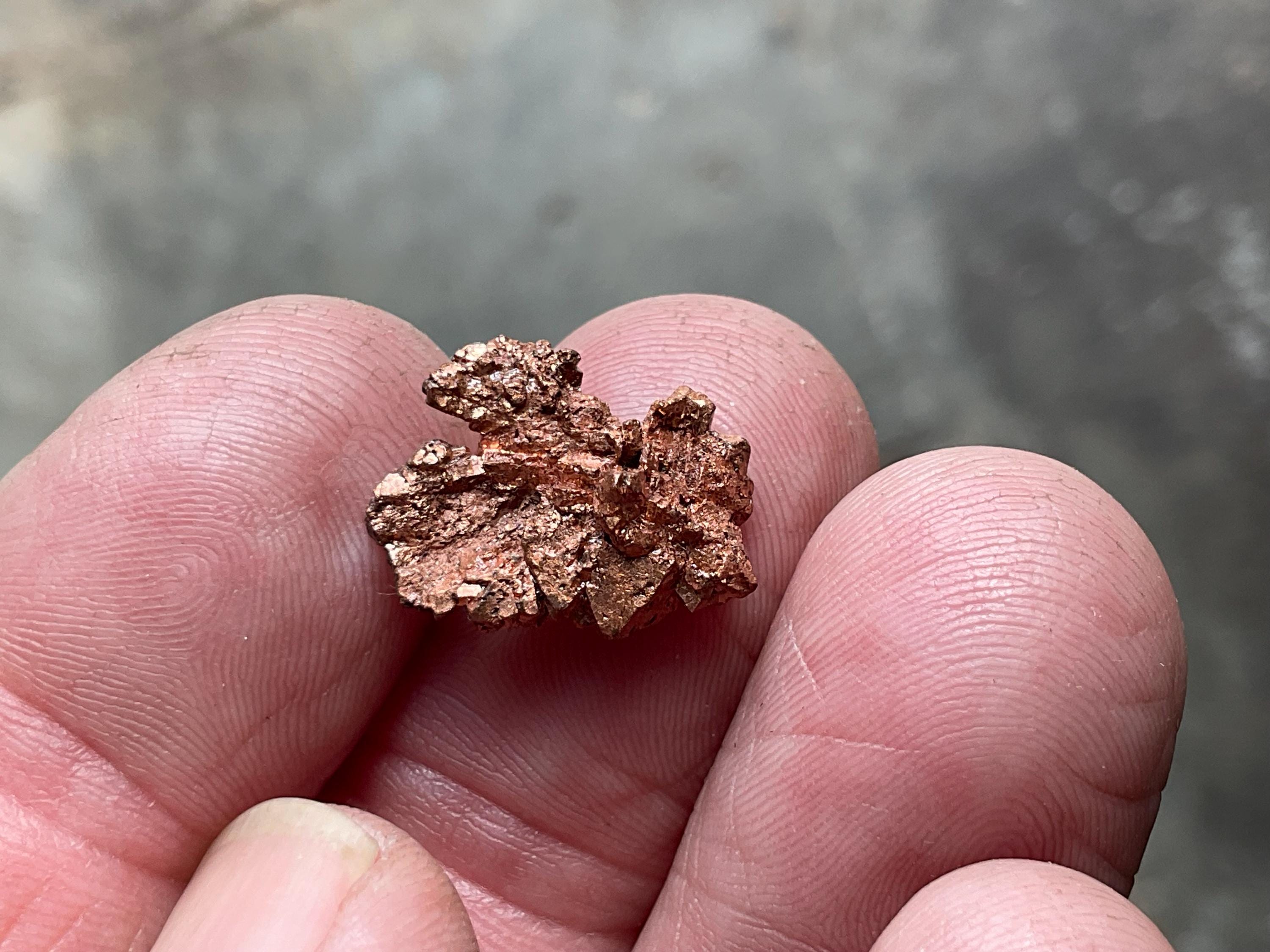 2g Native Copper Pseudomorph after Cuprite Specimen 2A from the Red Dome Mine Australia
