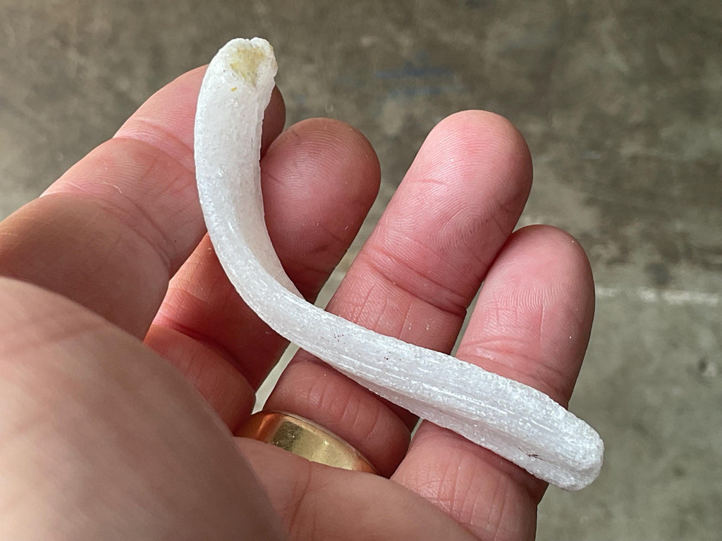 10g Rams Horn Selenite Specimen 4C