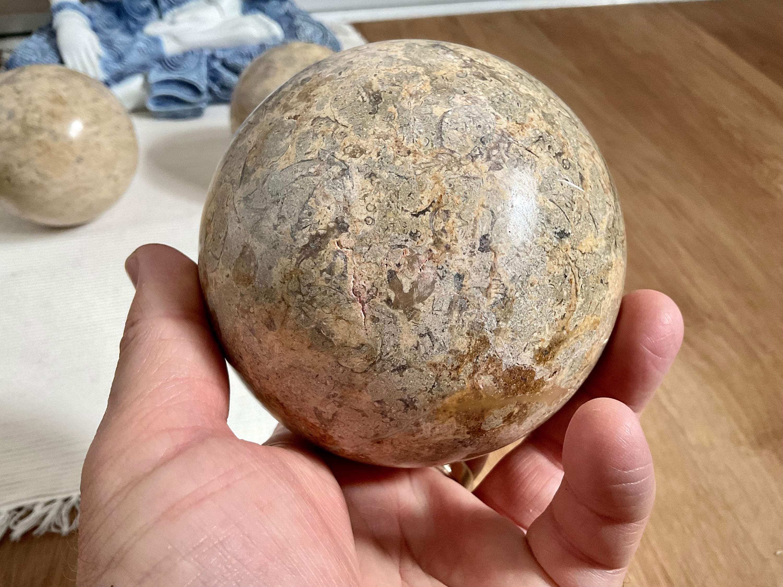 1340g XL Fossilised Ocean Floor Sphere A
