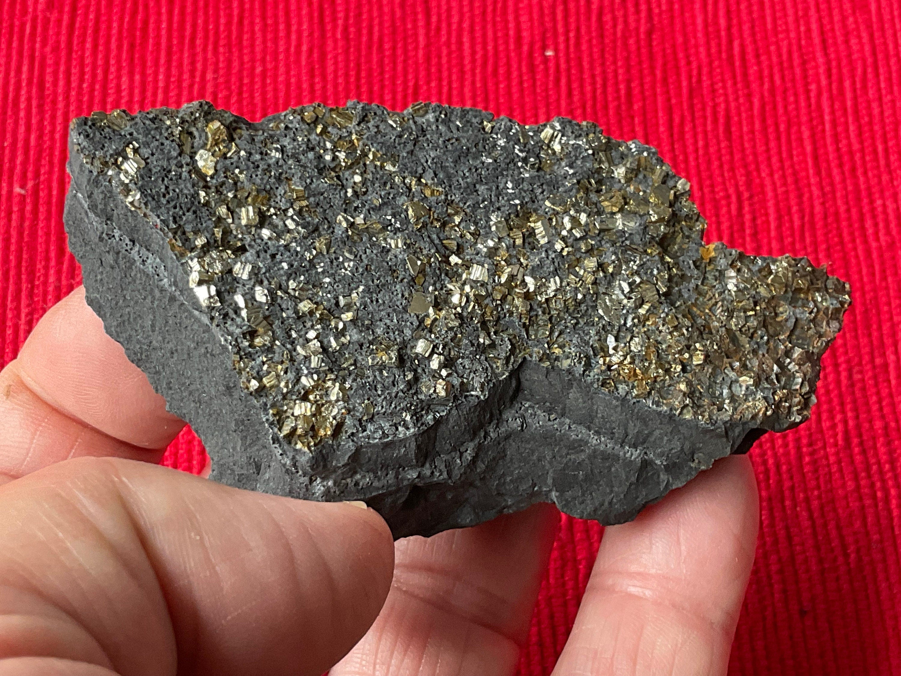72g Tasmanian Cubic Pyrite Specimen 1C