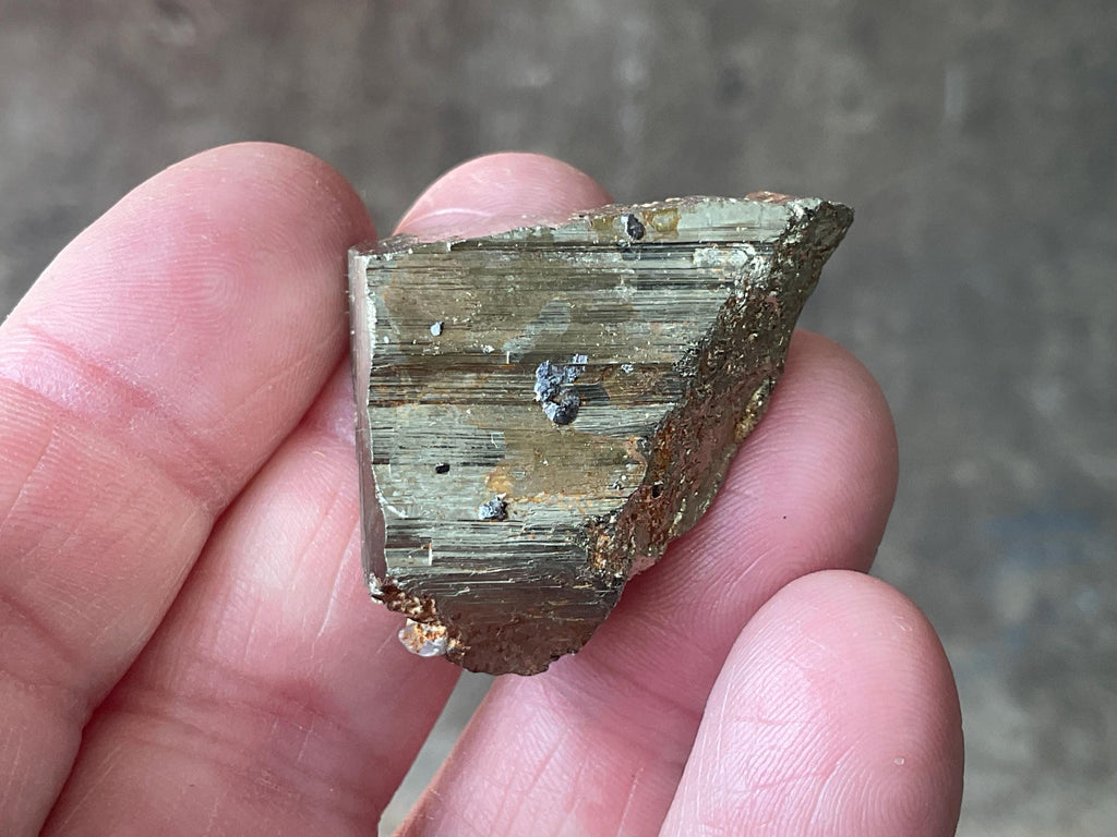 36g Natural Cubic Pyrite Specimen C from Bulgaria