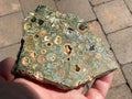 129g Mt Hay Rhyolite Polished Slab A