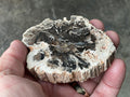 122g Indonesian Petrified Wood Polished Slab 1B