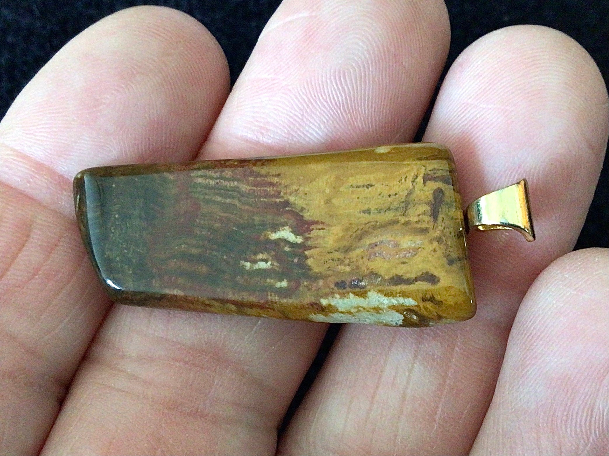 5g Petrified Wood Tumble Pendant 2B