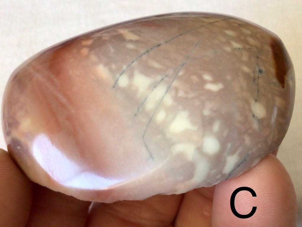 Polychrome Jasper One Side Polished Group 8