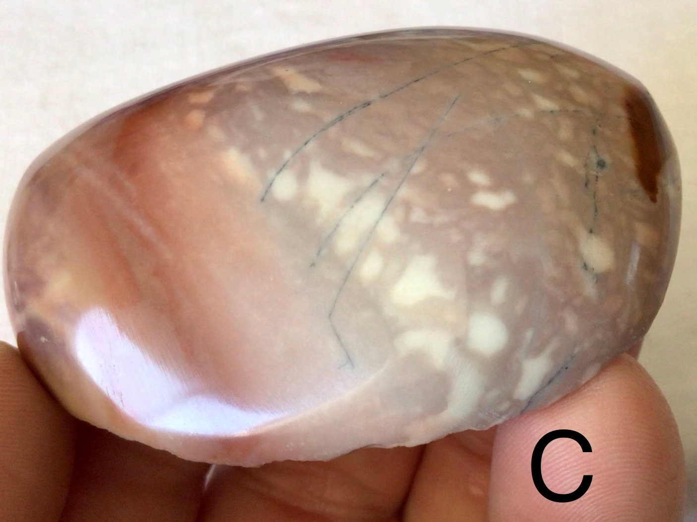 Polychrome Jasper One Side Polished Group 8