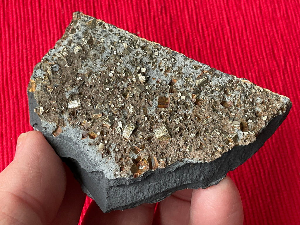 100g Tasmanian Cubic Pyrite Specimen 2C