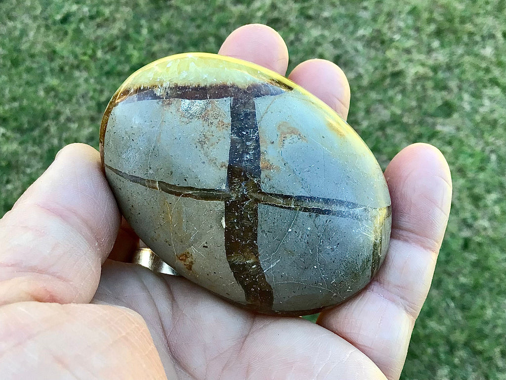 158g Madagascan Septarian Palmstone 2C