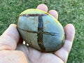 158g Madagascan Septarian Palmstone 2C