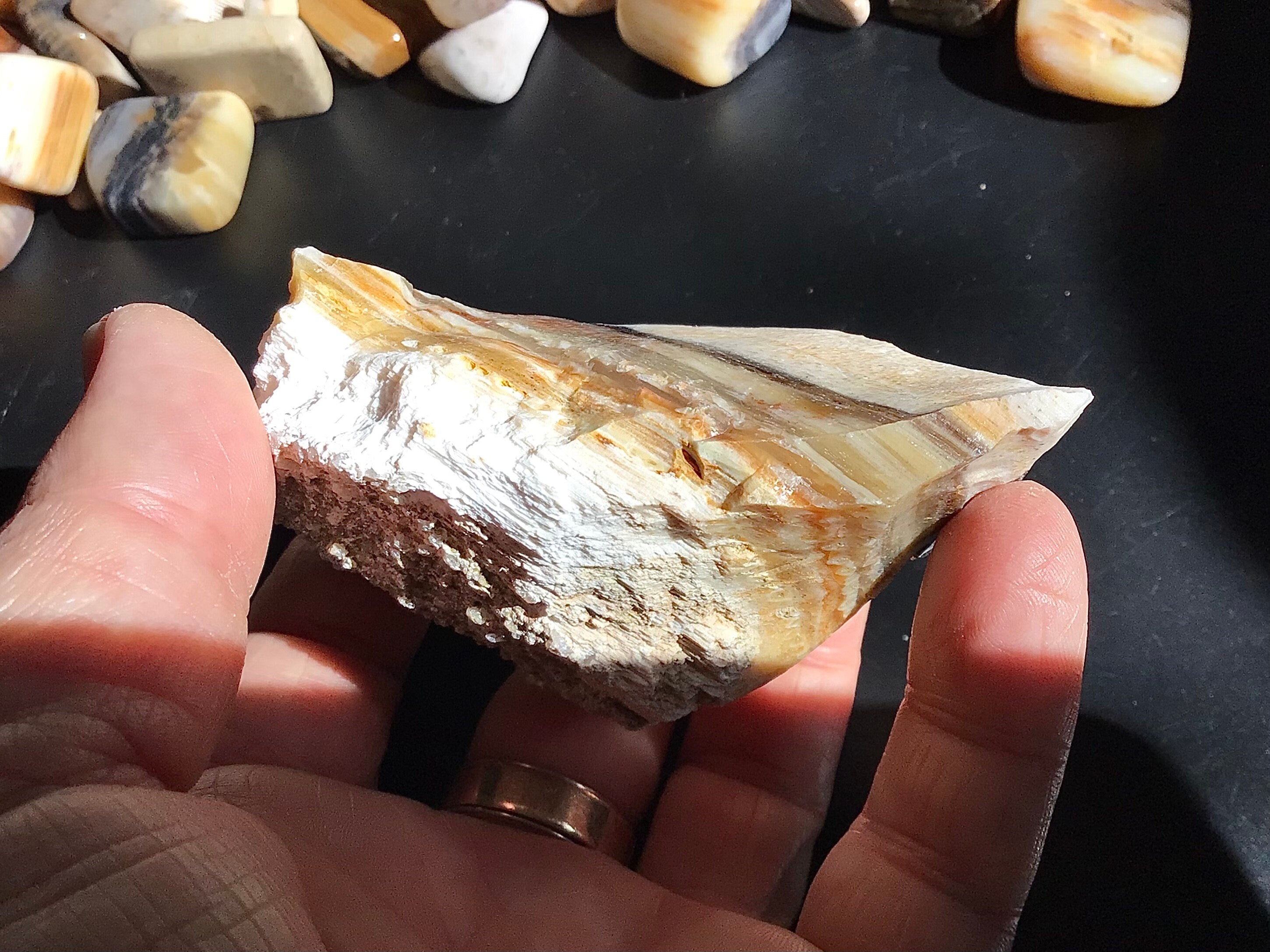 161g Natural Opalised Wood Rough Piece 6B