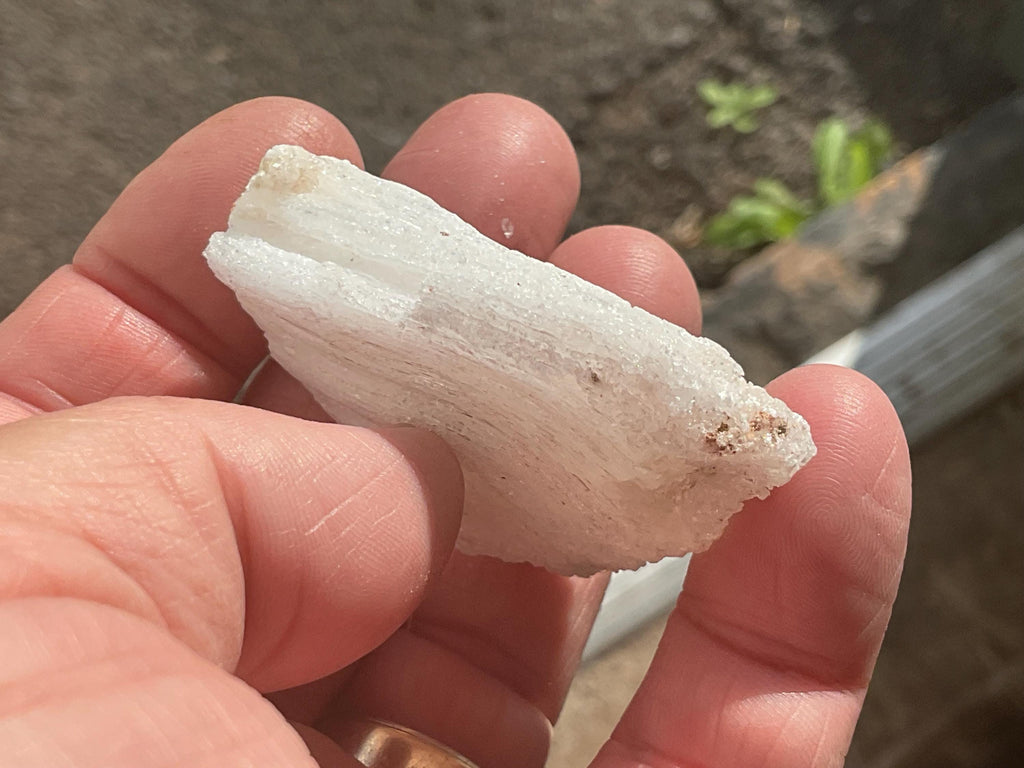 34g Rams Horn Selenite Specimen 6C
