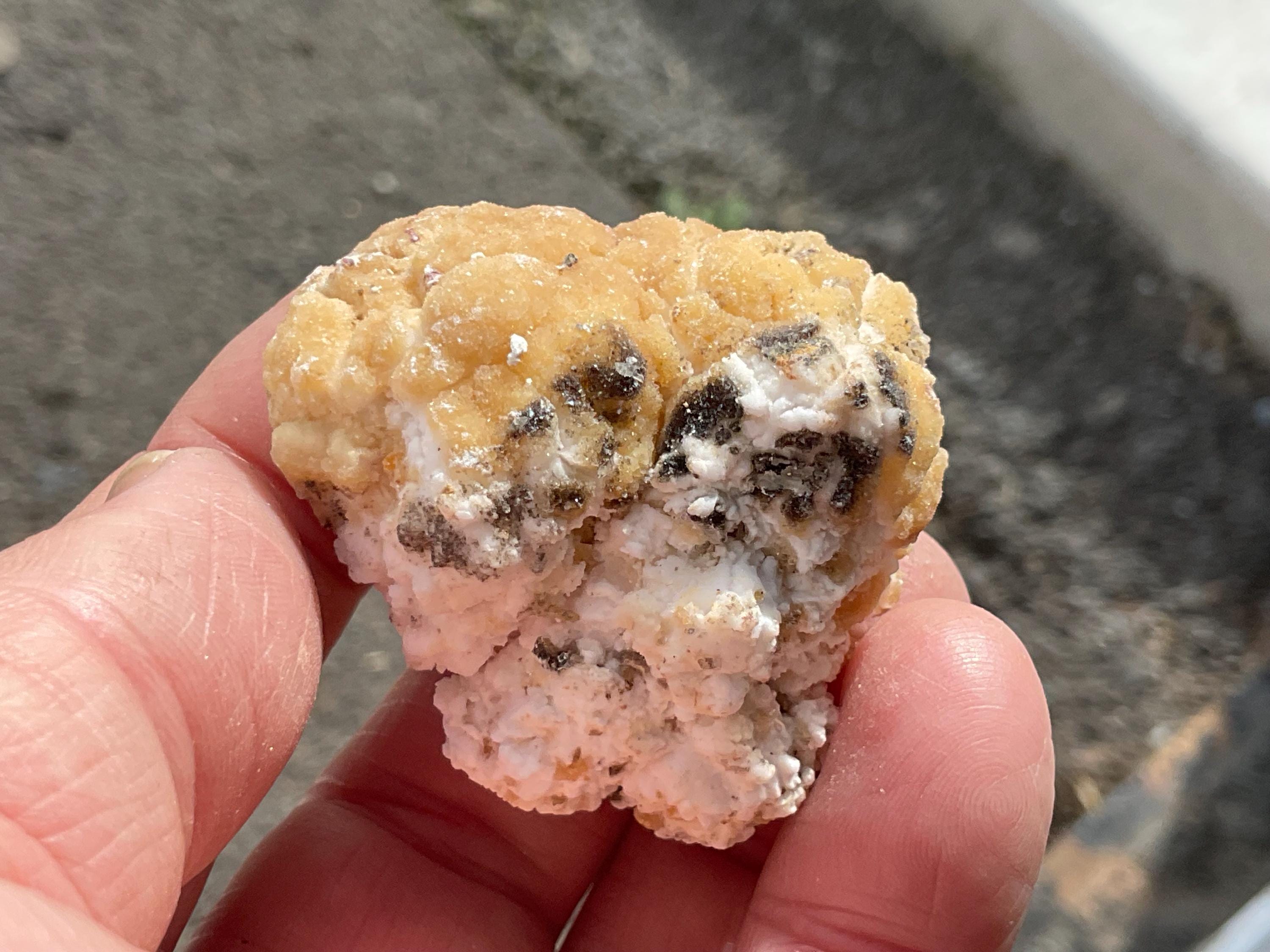 64g “Popcorn Selenite” Specimen 4B