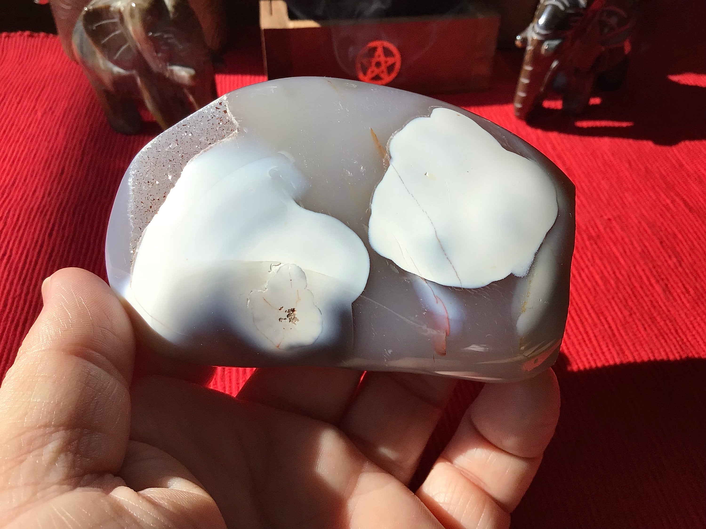 310g Orca Agate Freeform 4A