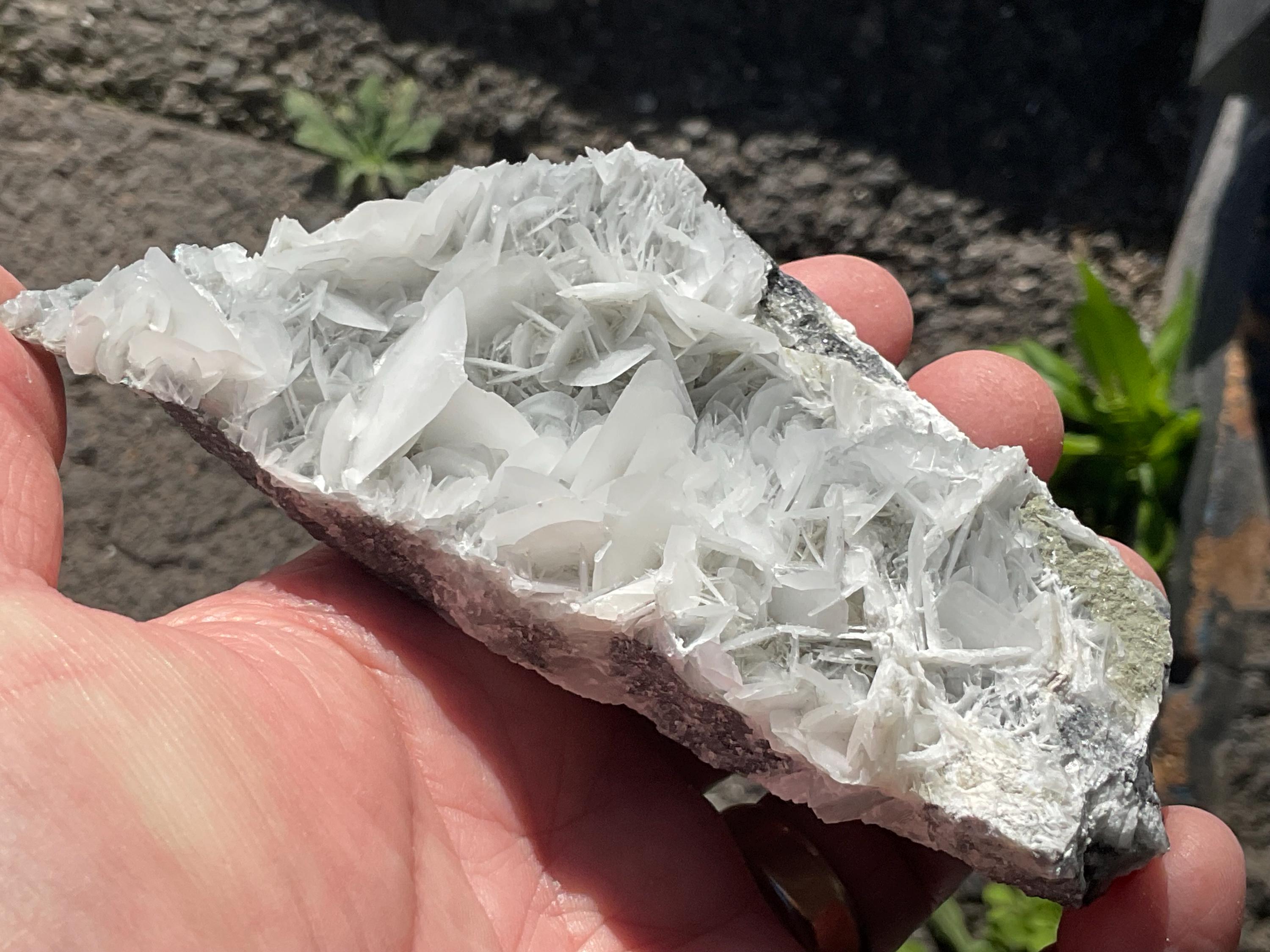 206g UV Reactive “Angel Wing” Calcite Specimen 1C