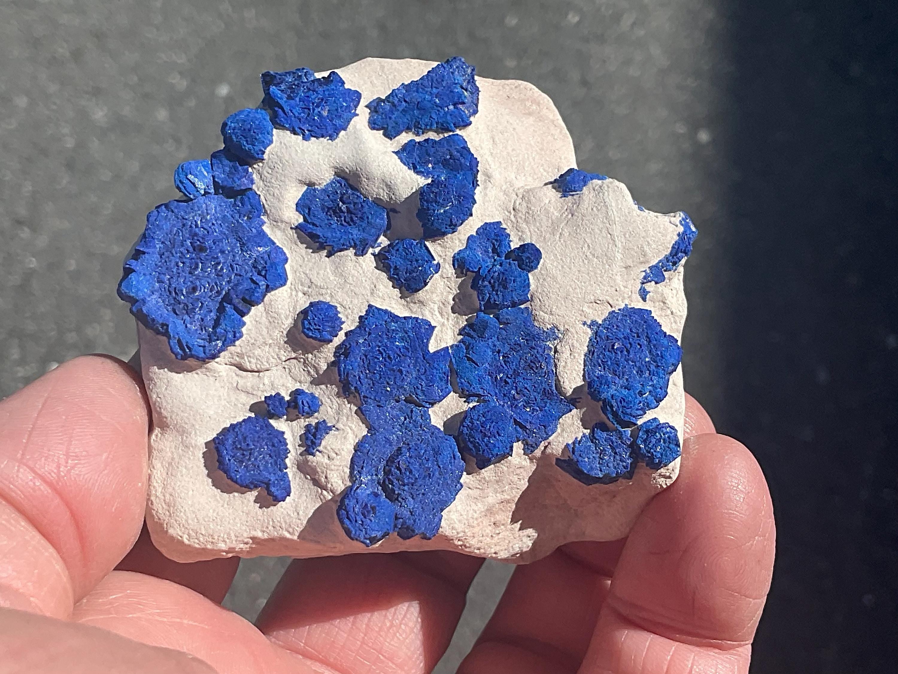 120g Azurite ‘Suns’ on Kaolinitic Matrix from Malbunka