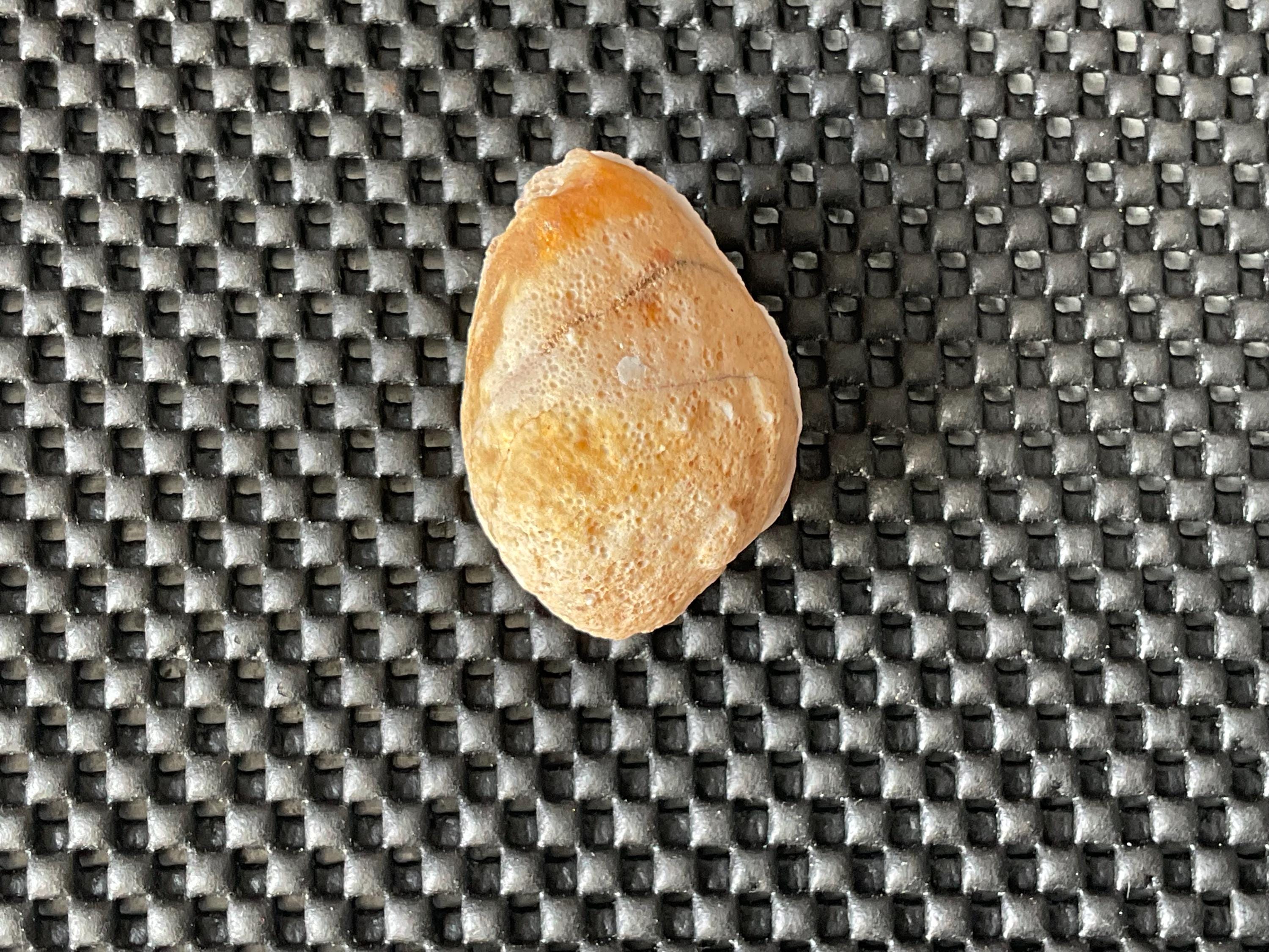 54g Brazilian Polished Agate Pair