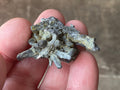 22g Botryoidal Fluorite with Valentinite on Stibnite Specimen 4C from Jiangxi, China