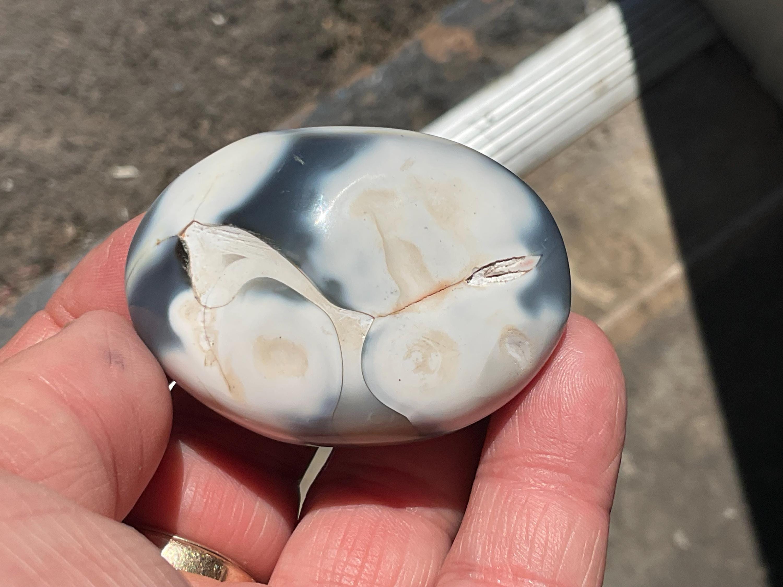 76g Orca Agate Palmstone 7B
