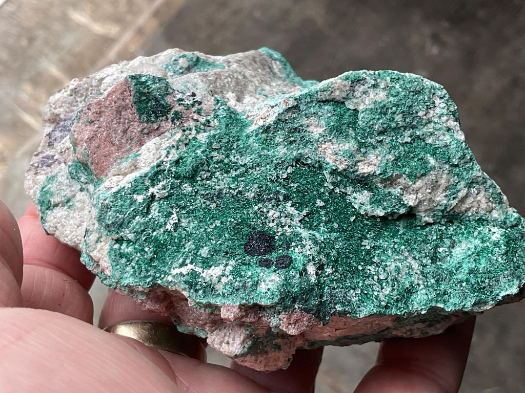 370g Atacamite Specimen 1D from Mt Gunson