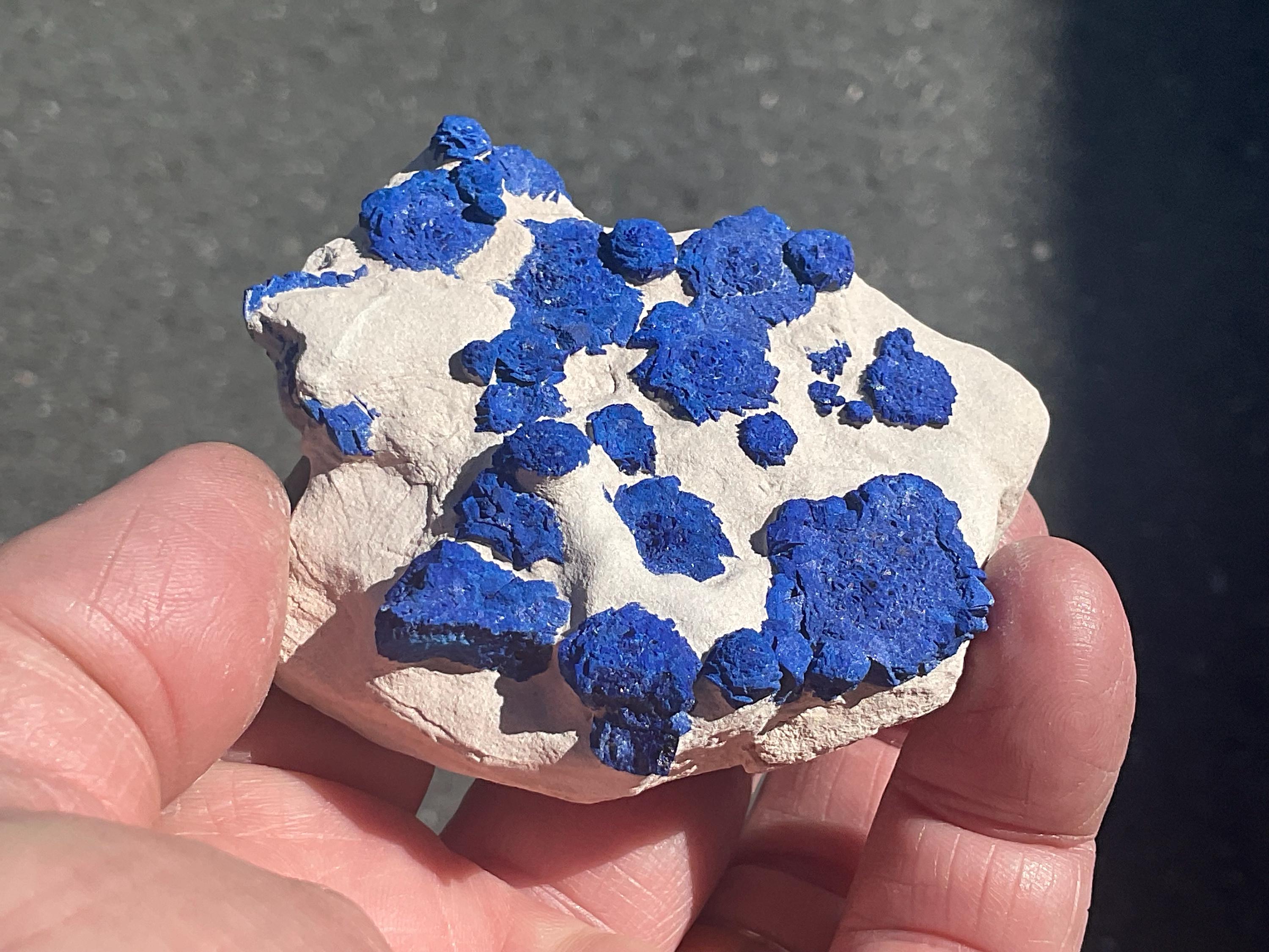 120g Azurite ‘Suns’ on Kaolinitic Matrix from Malbunka