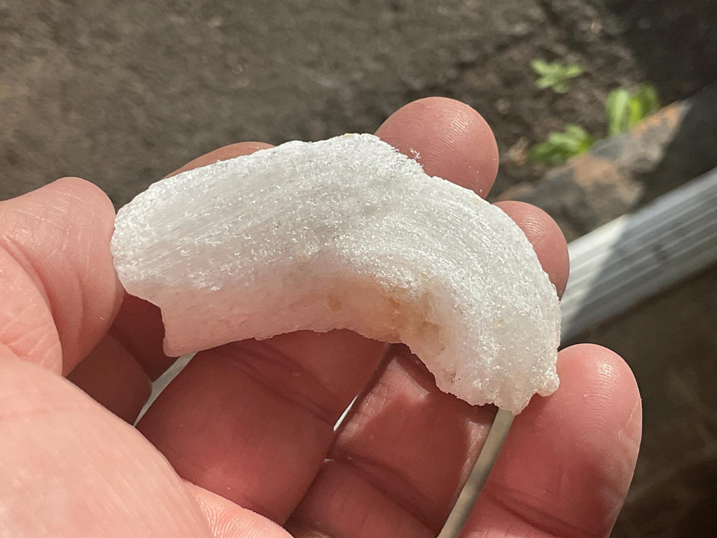 32g Rams Horn Selenite Specimen 6B