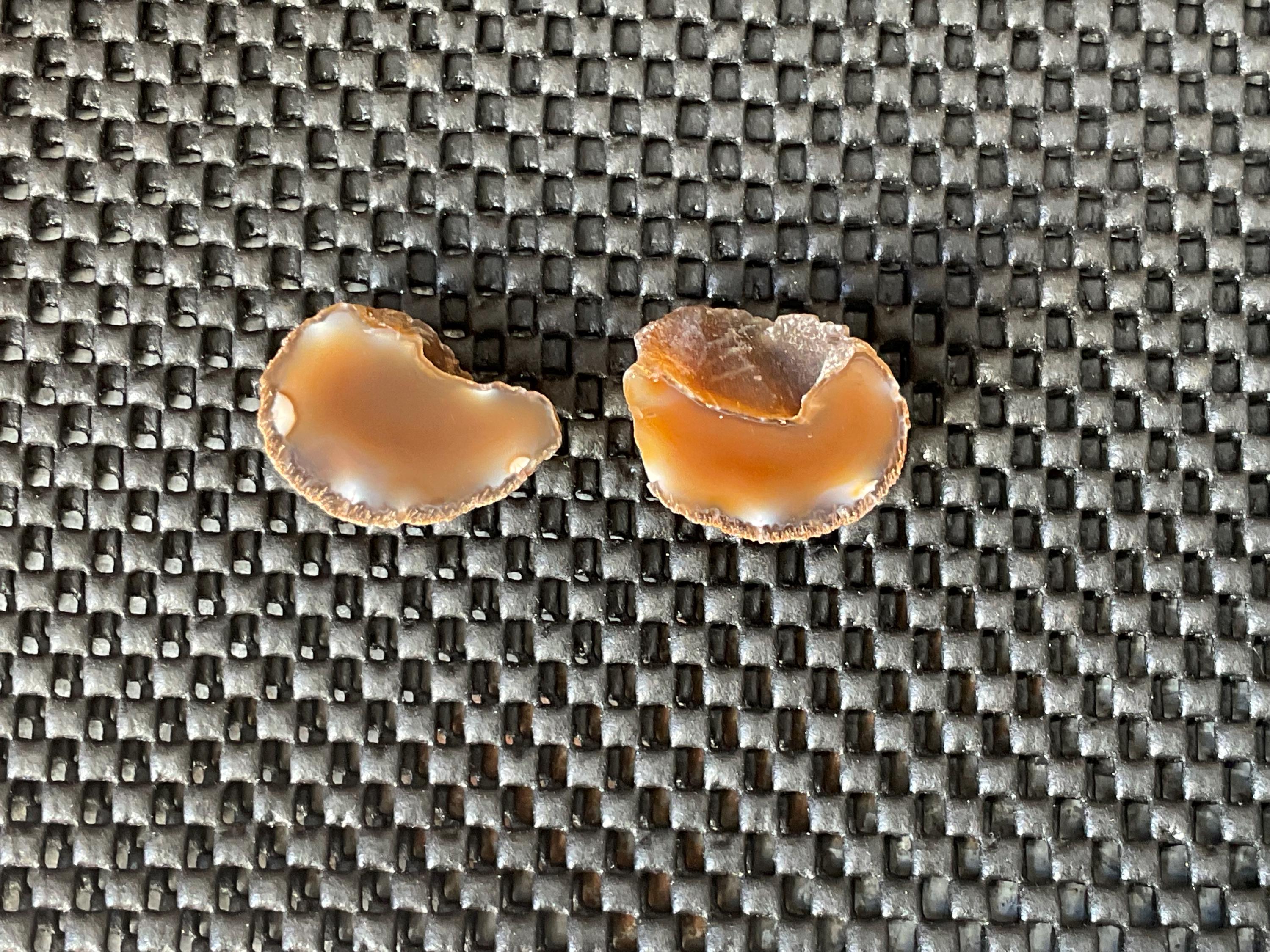 22g Small Polished Brazilian Agate Pair C