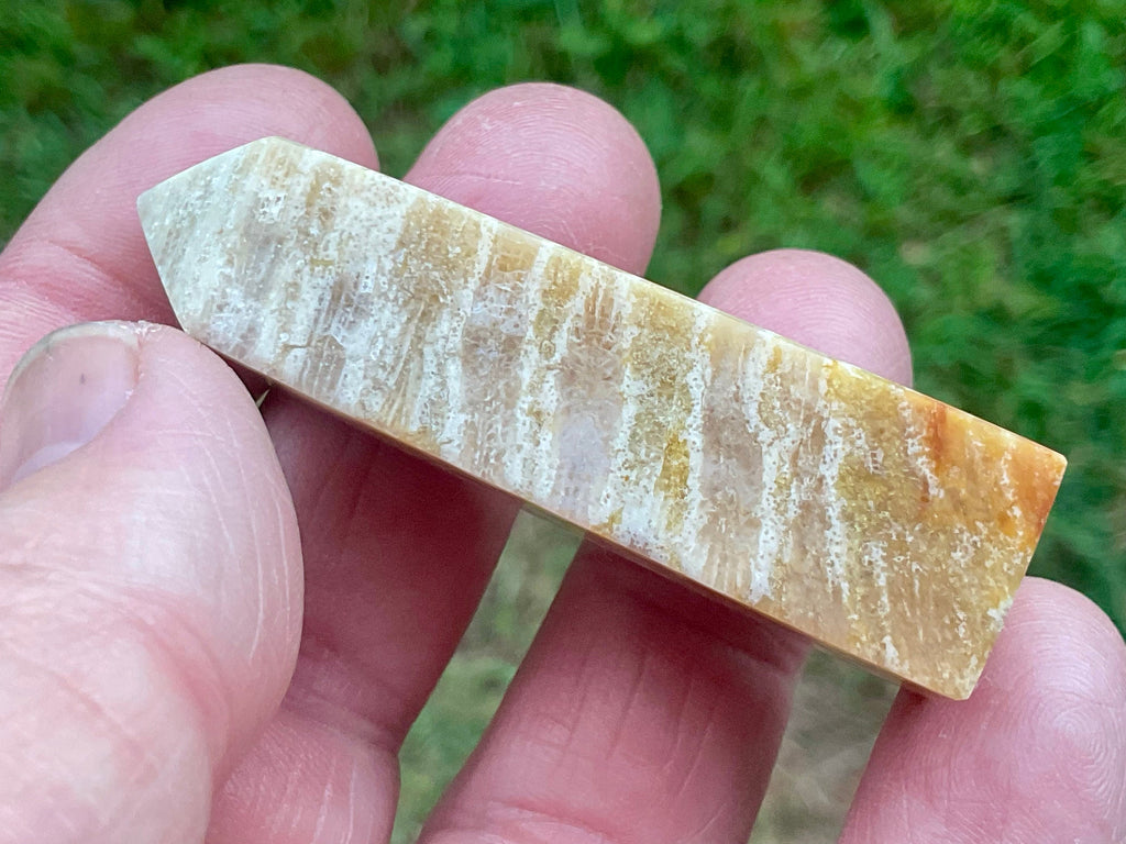 35g Fossilised Coral Generator 3B