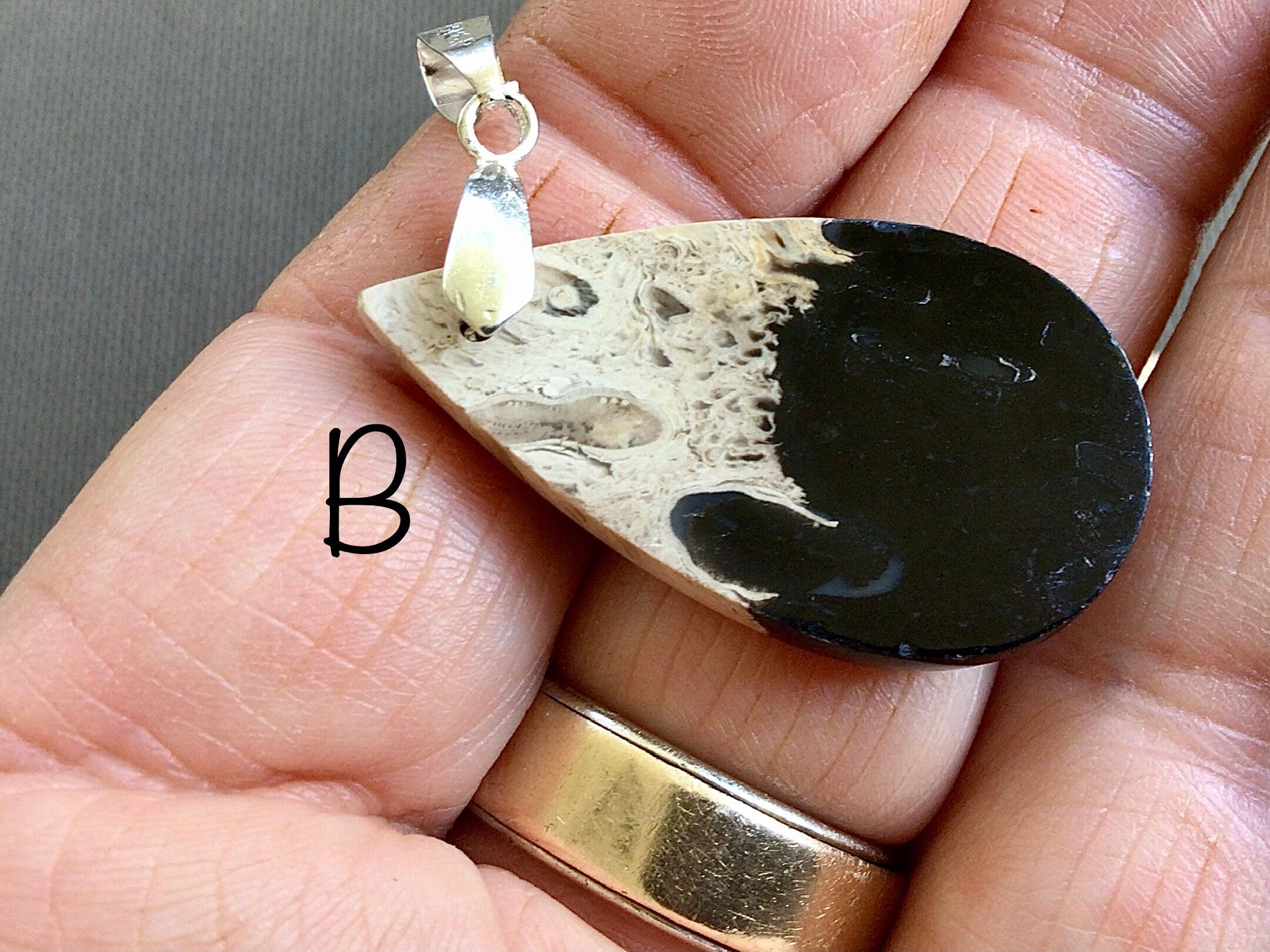 Indonesian Fossilised Palm Tree Pendants Group 4