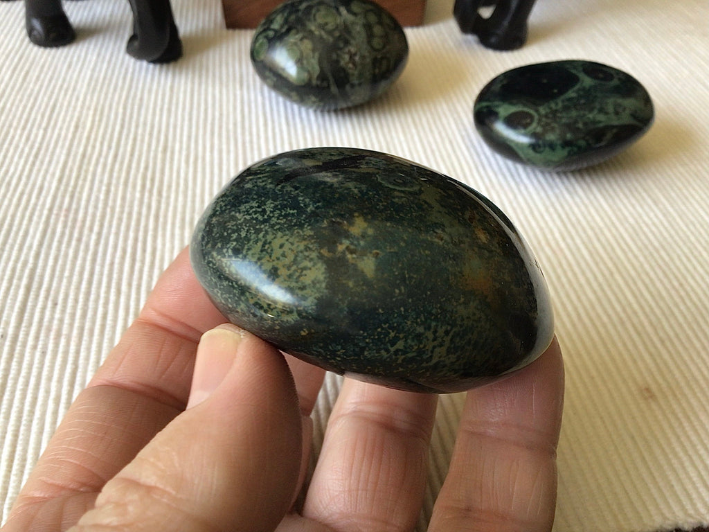 173g Kambaba Jasper Palmstone 4B