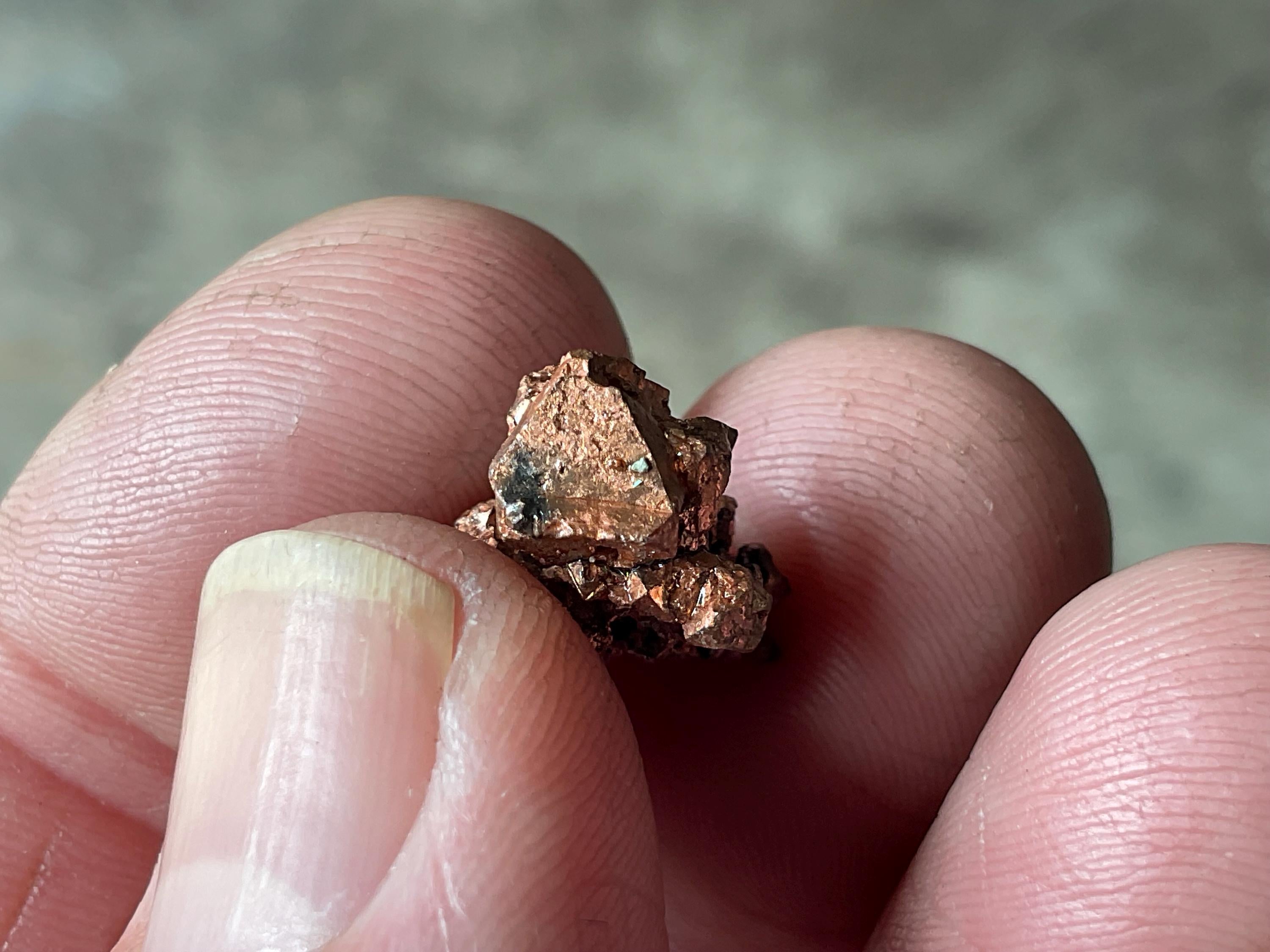 4g Native Copper Pseudomorph after Cuprite Specimen 4A from the Red Dome Mine Australia