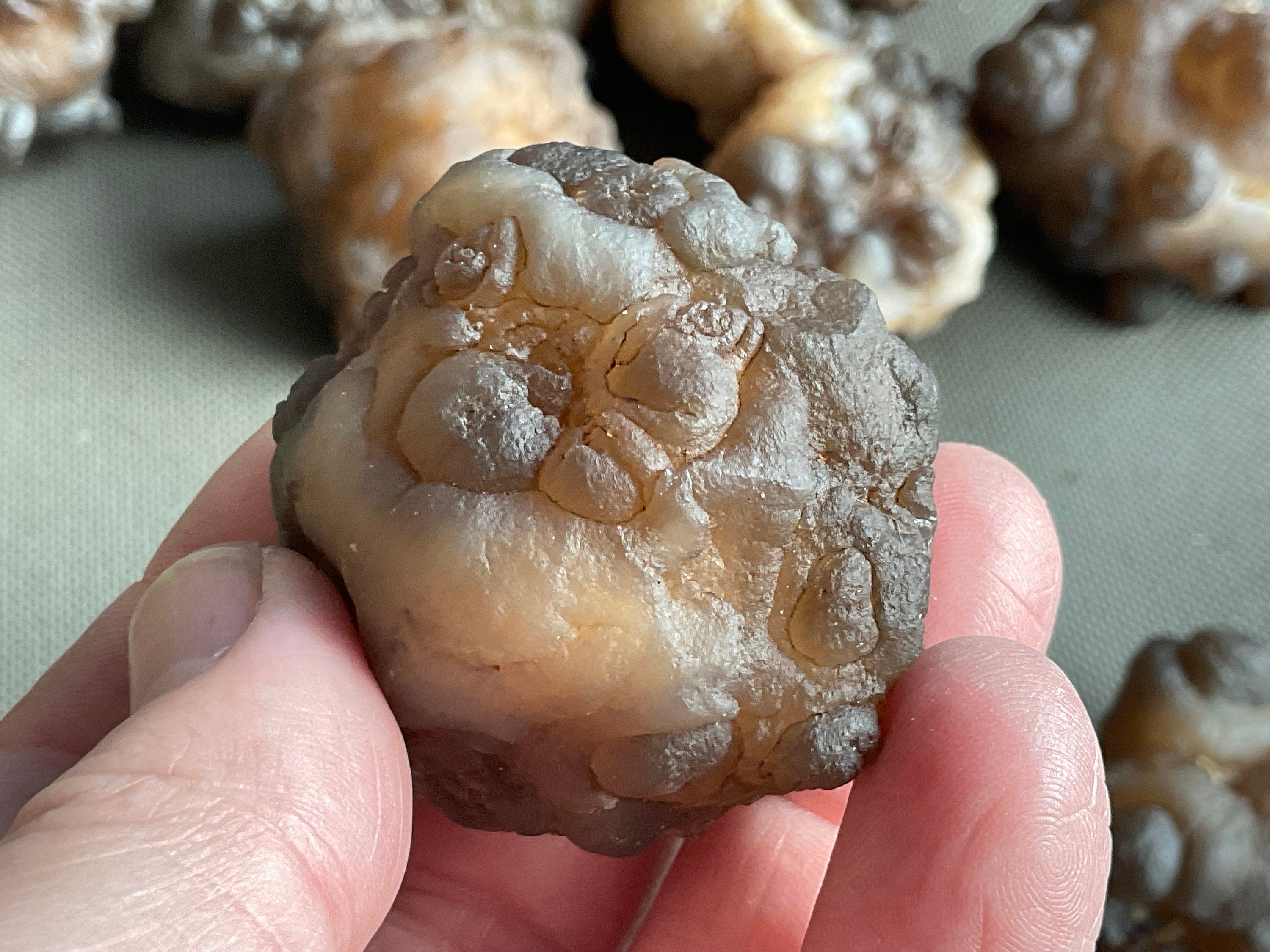 84g Panda Agate Natural Specimen 6A