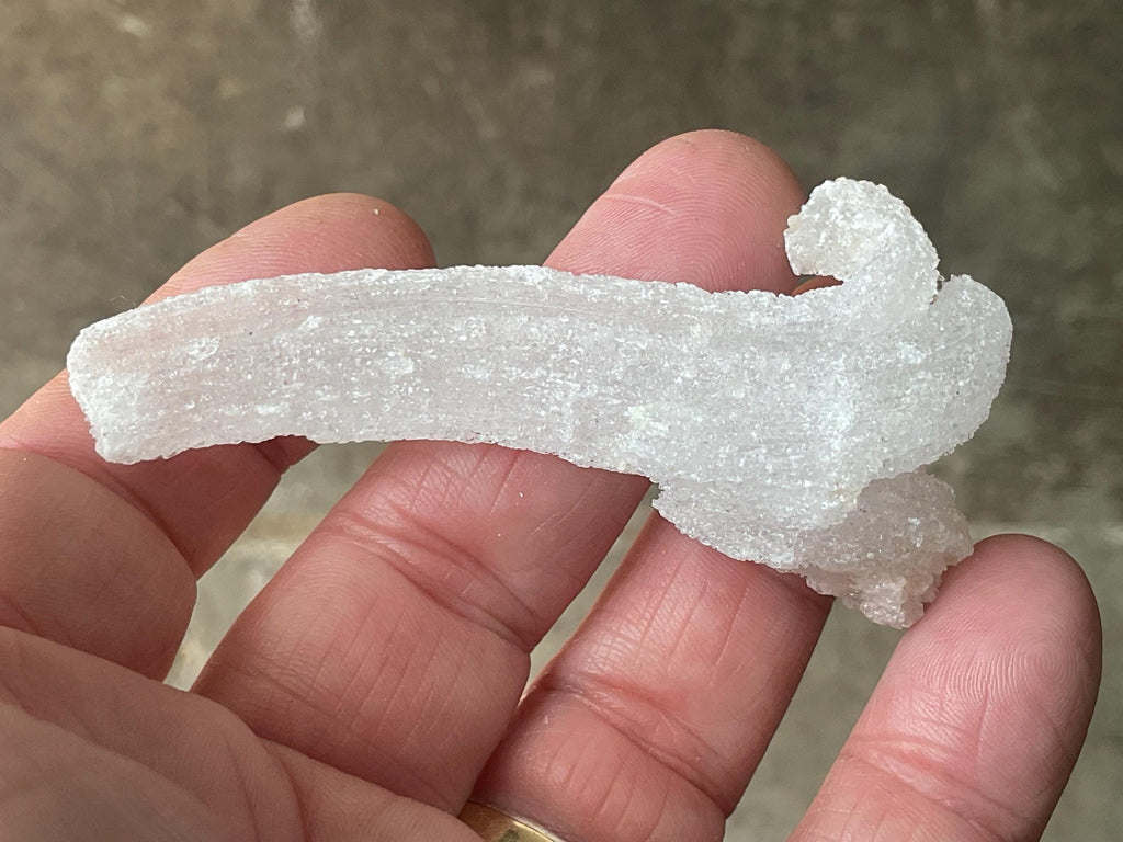 18g Rams Horn Selenite Specimen 5C