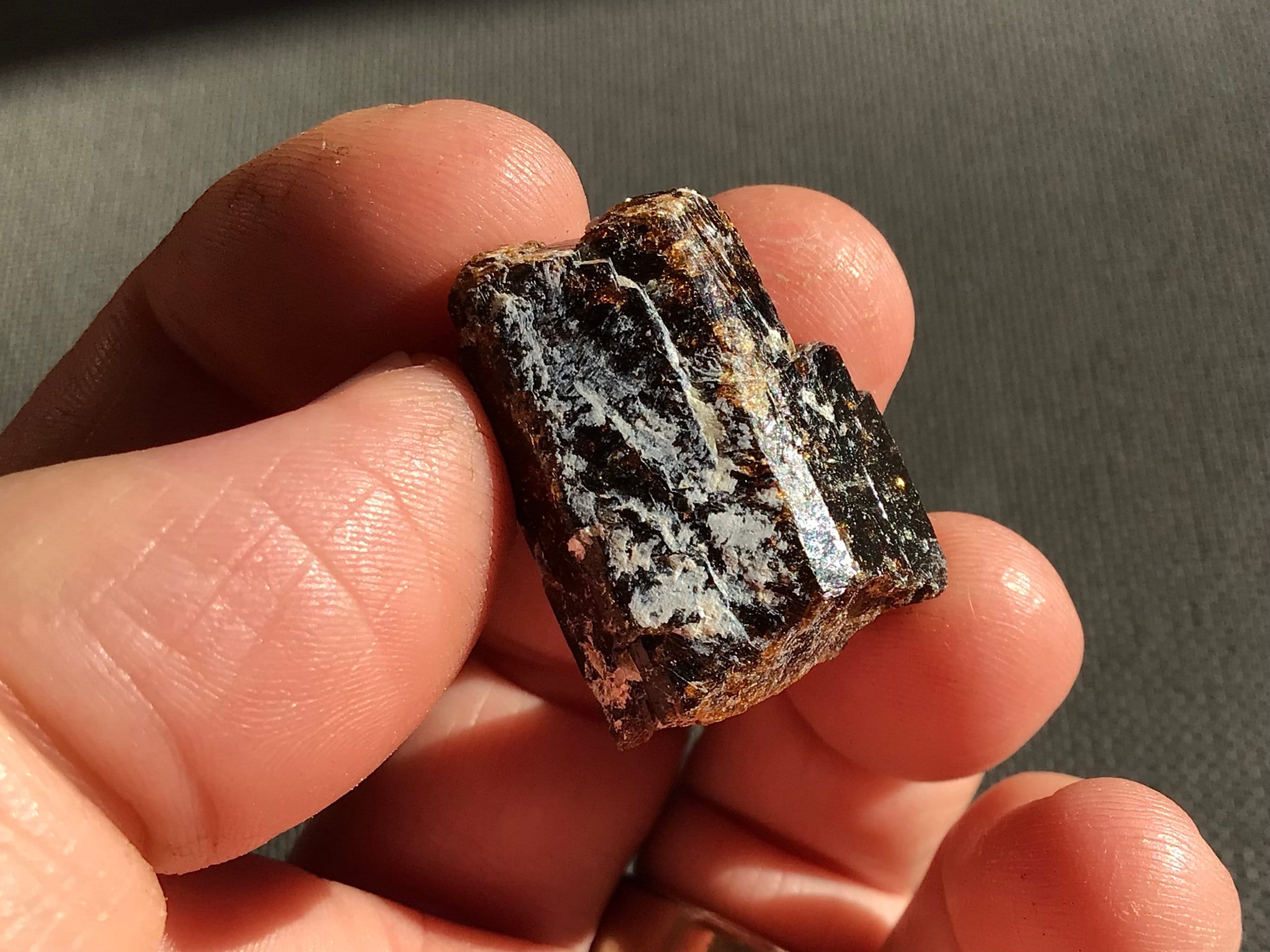 19g Yinnietharra Dravite Specimen 17D