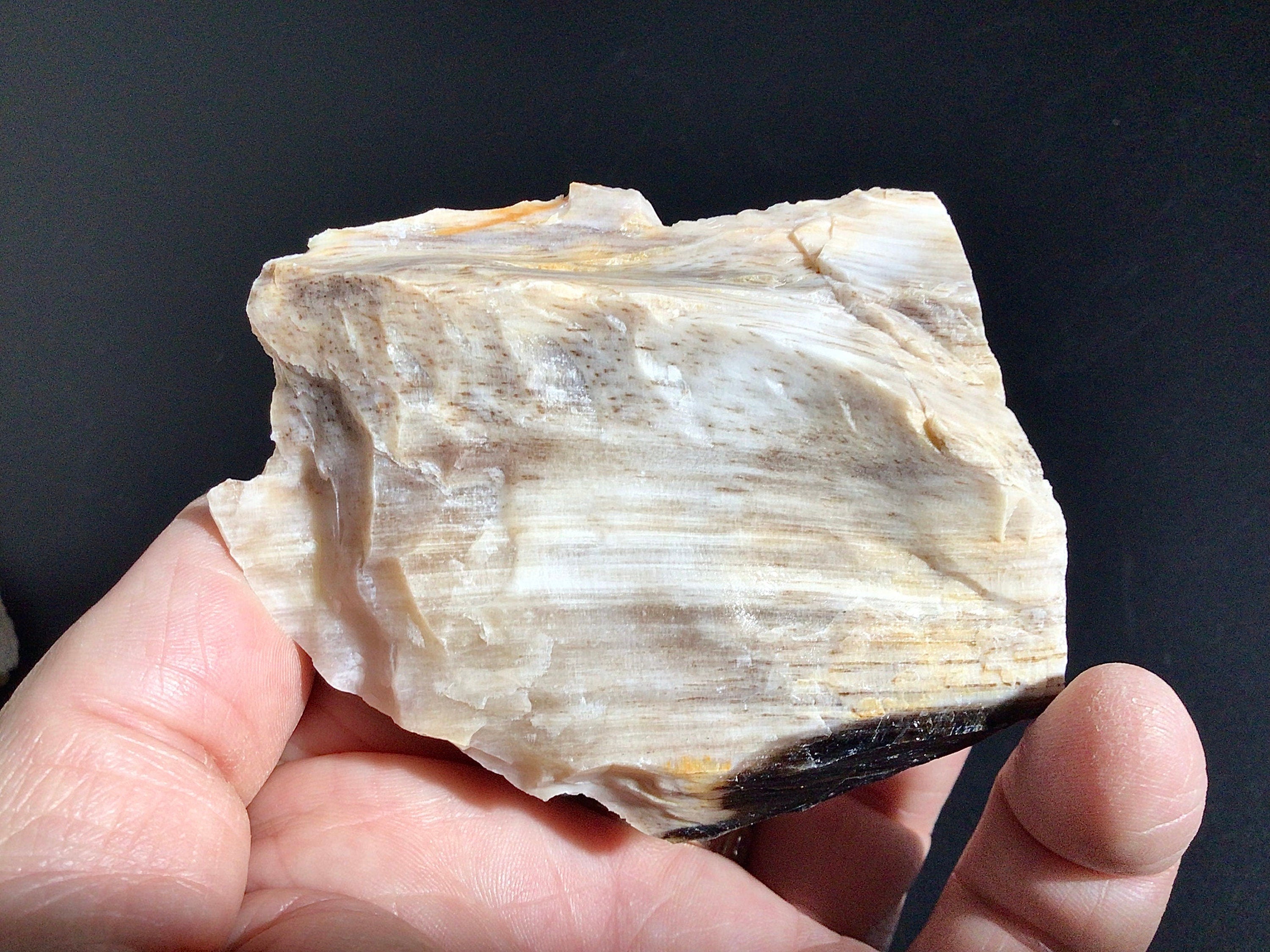 96g Natural Opalised Wood Rough Piece 2C