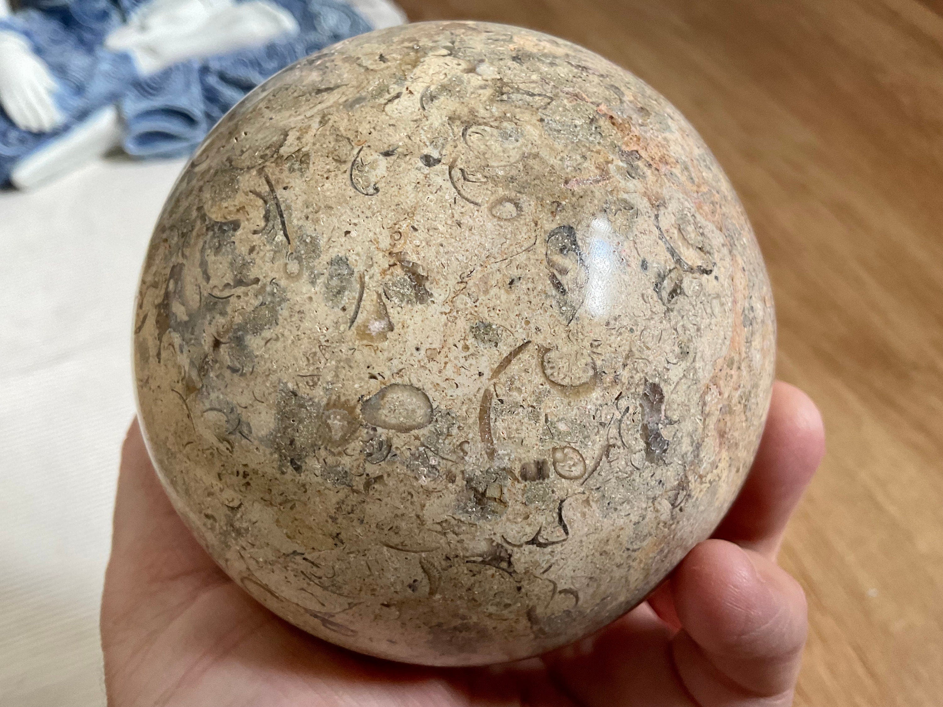 1268g XL Fossilised Ocean Floor Sphere C