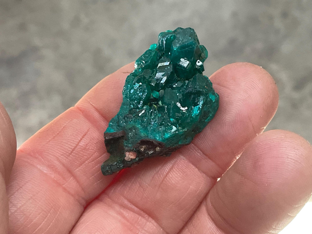 10g Congolese Dioptase Specimen 6C