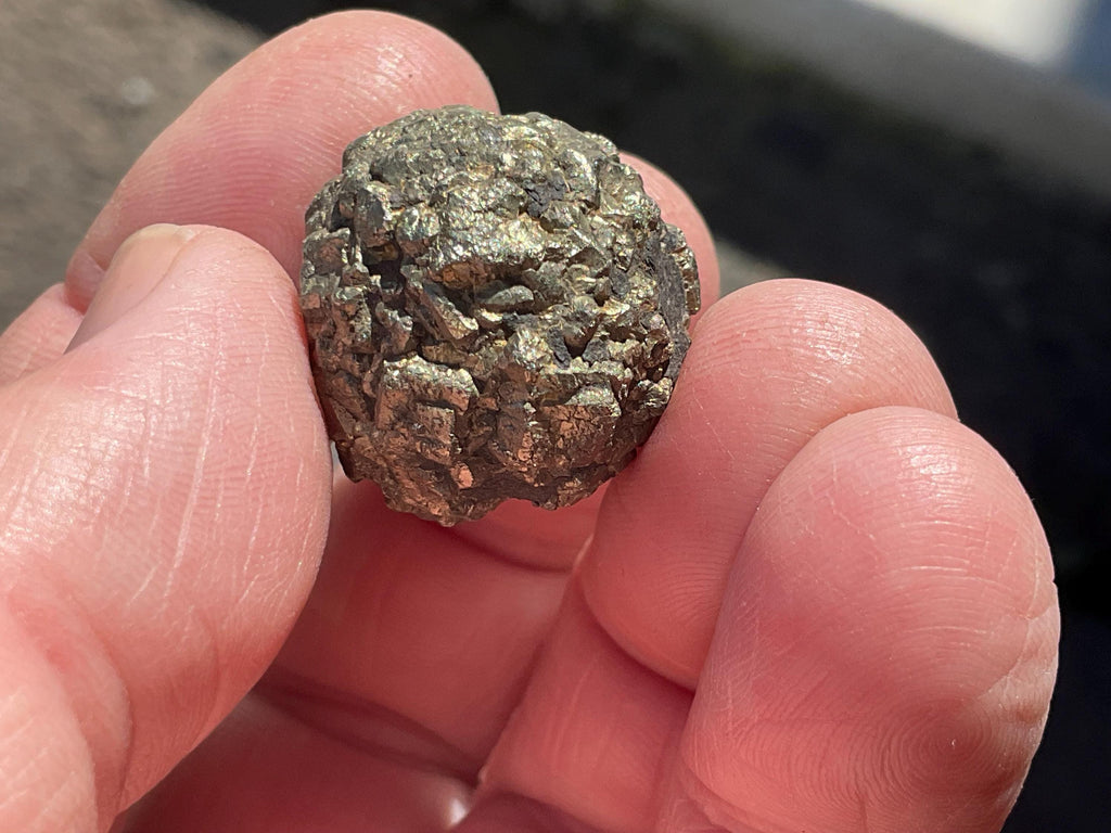 24g Natural Indonesian Pyrite after Marcasite Nodule 1B