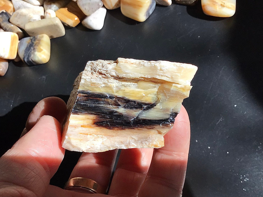 160g Natural Opalised Wood Rough Piece 6A