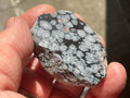 52g Snowflake Obsidian One Side Polished Piece A