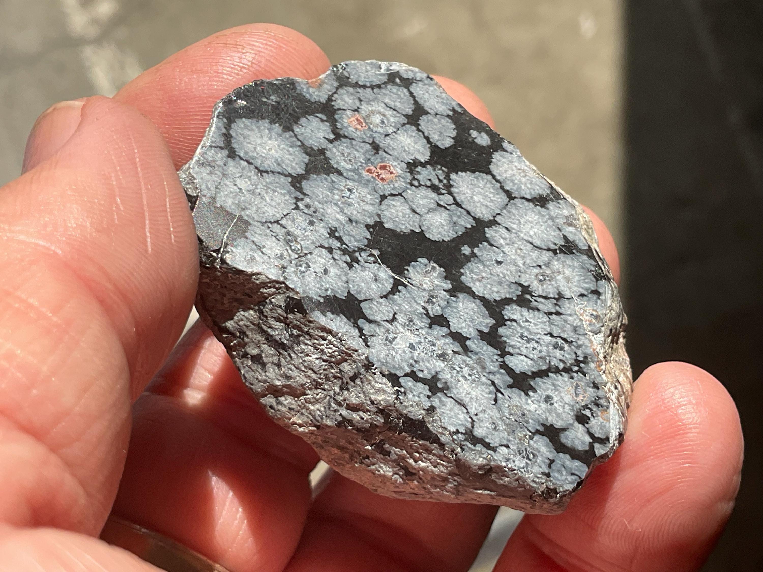 52g Snowflake Obsidian One Side Polished Piece A