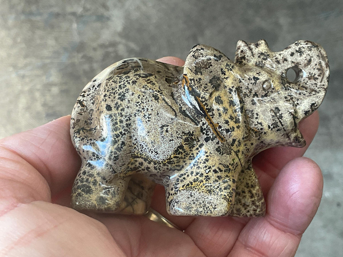 180g Picture/Desert Jasper Elephant B