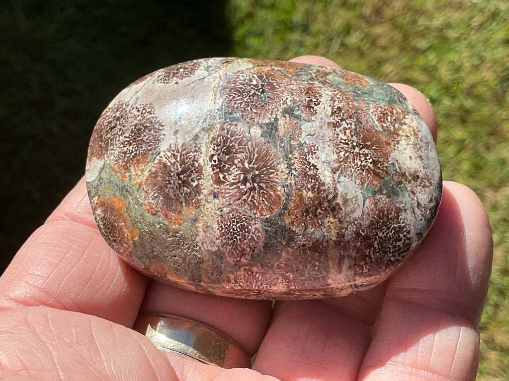 100g Green Cherry Blossom Jasper Palmstone 10C