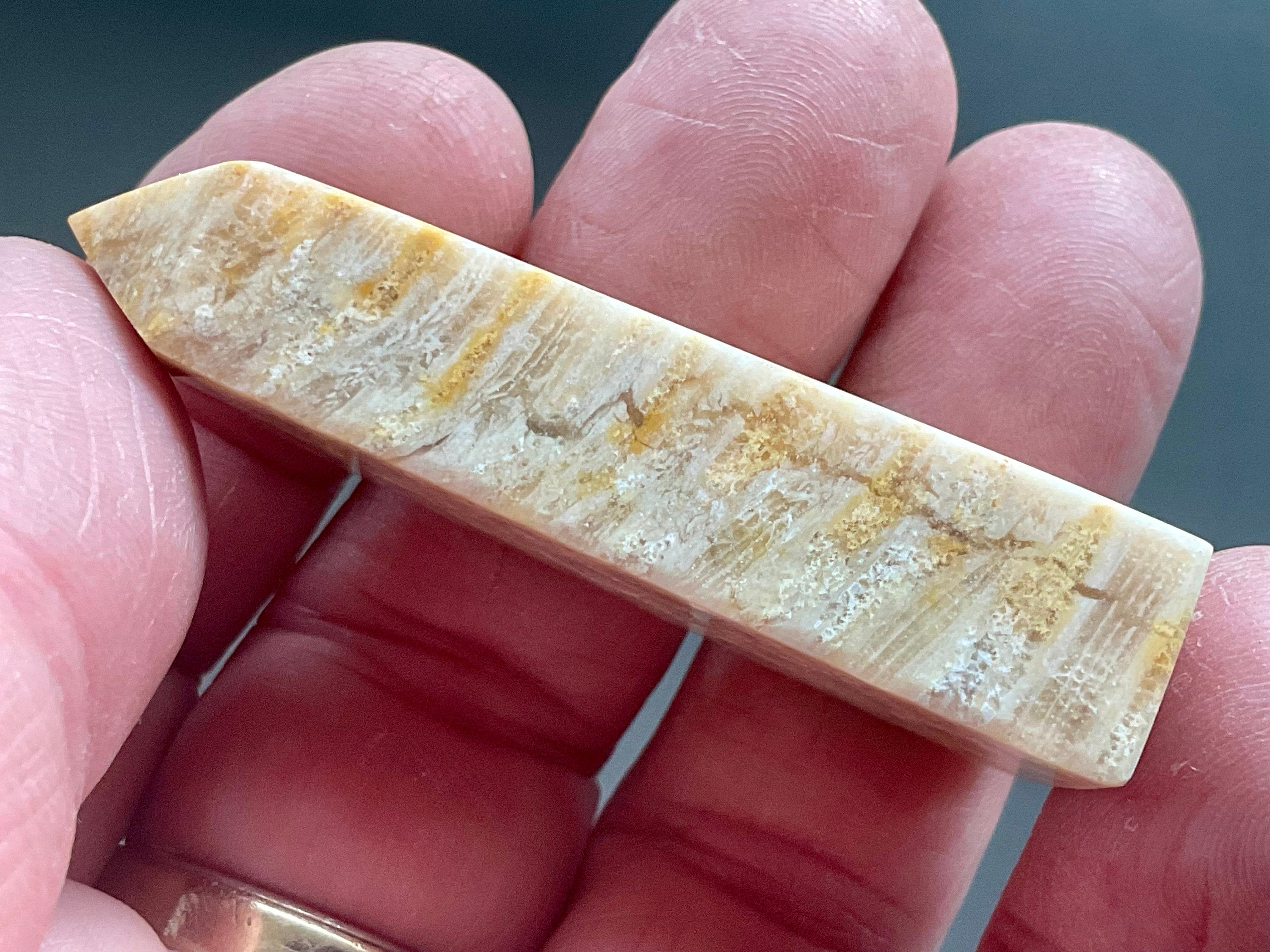 28g Fossilised Coral Generator 2A