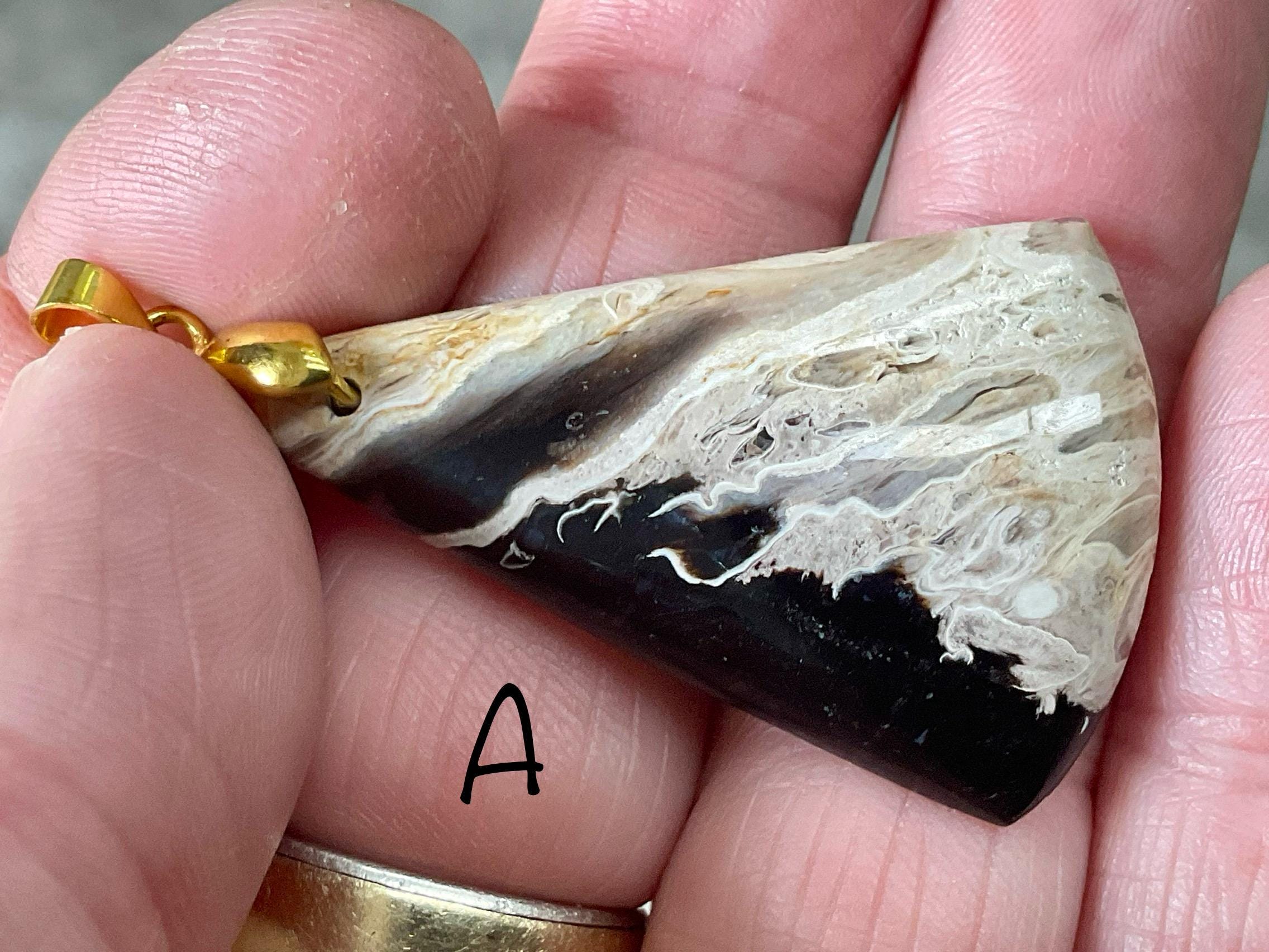 Indonesian Palm Root Cabochon Pendant Group 1