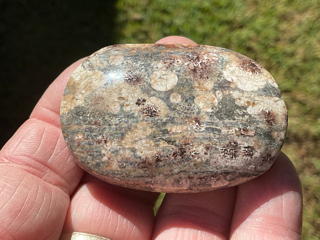 52g Green Cherry Blossom Jasper Palmstone 9B