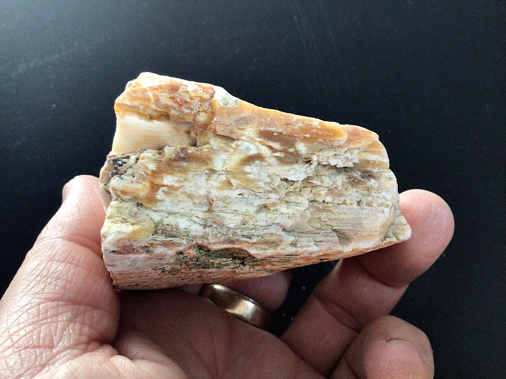 149g Natural Opalised Wood Rough Piece 5C
