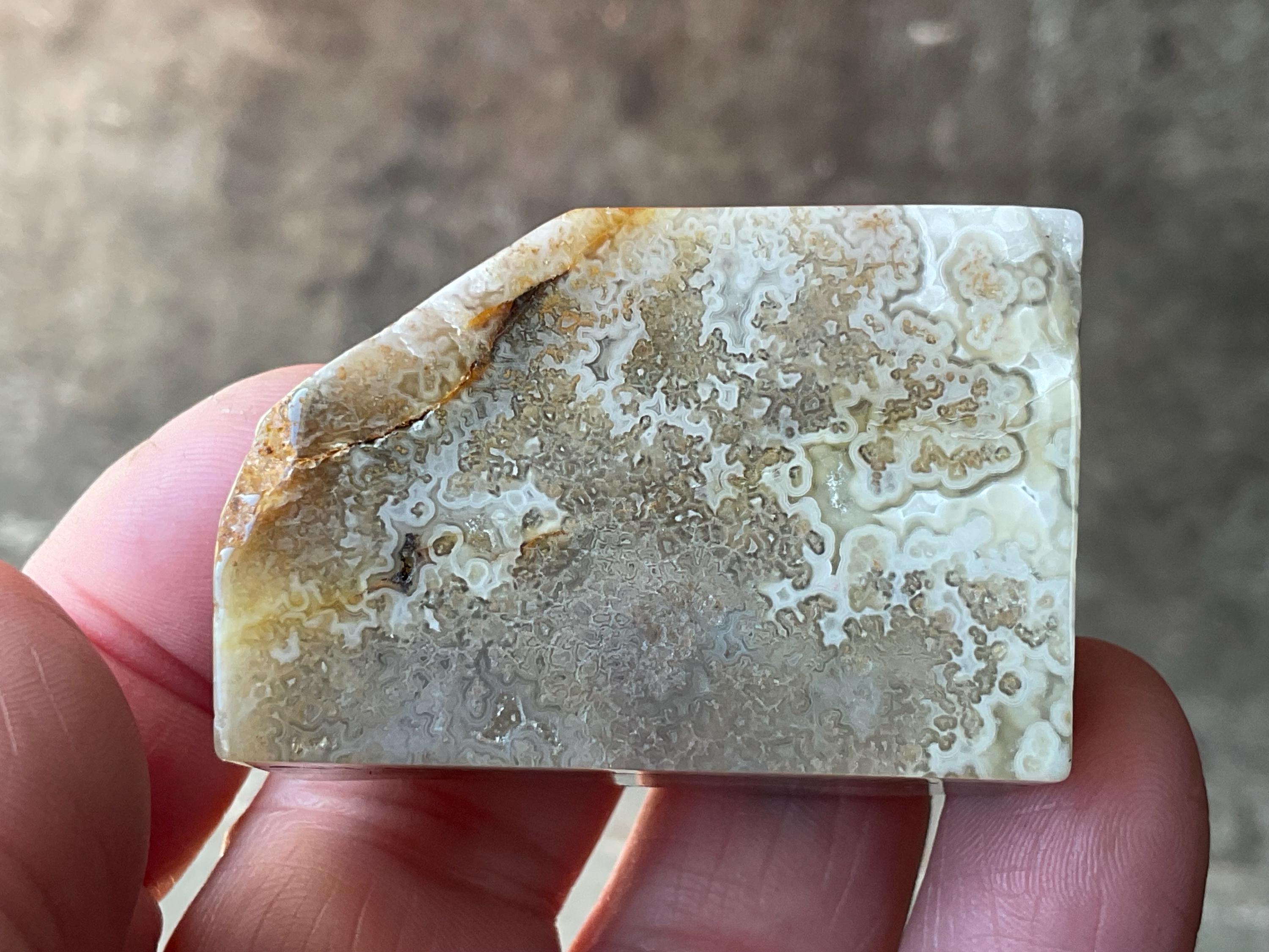 76g Mexican Crazy Lace Agate Freeform 19C