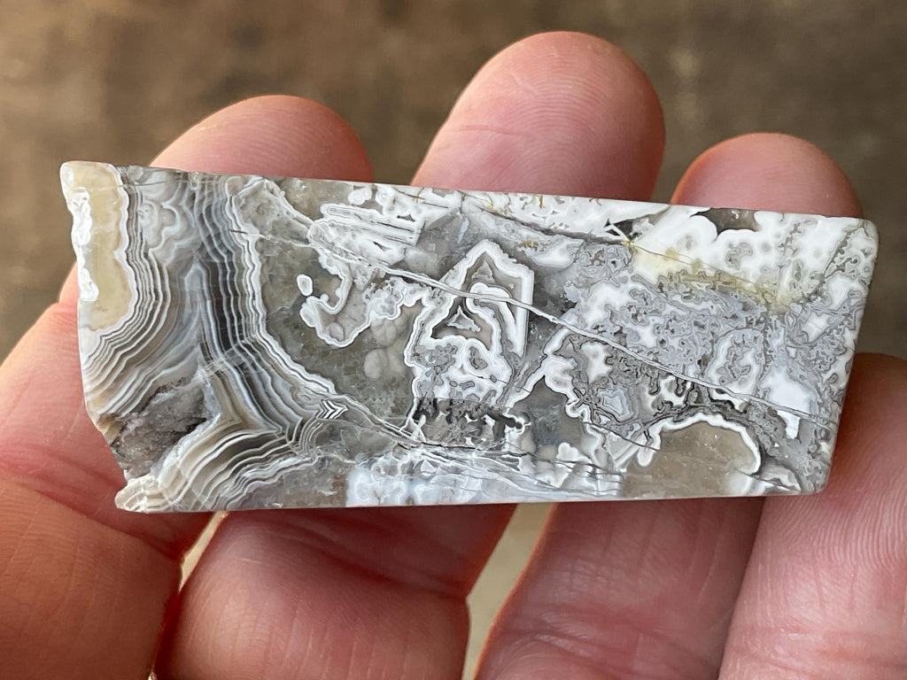 54g Mexican Crazy Lace Agate Freeform 12B